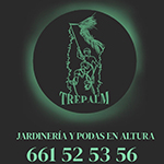 Jardineria y podas en altura